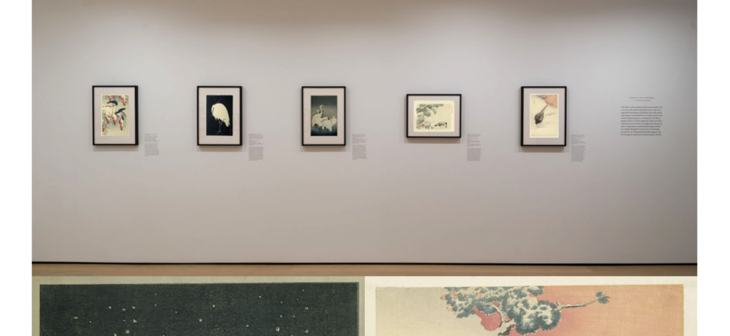 Museable digital exhibit artist profile page for Ohara Koson within the Kachō-e: Bird & Flower in the Snow exhibit, displaying three Japanese woodblock print artworks on a dark background with titles, date ranges, and biographical text.
